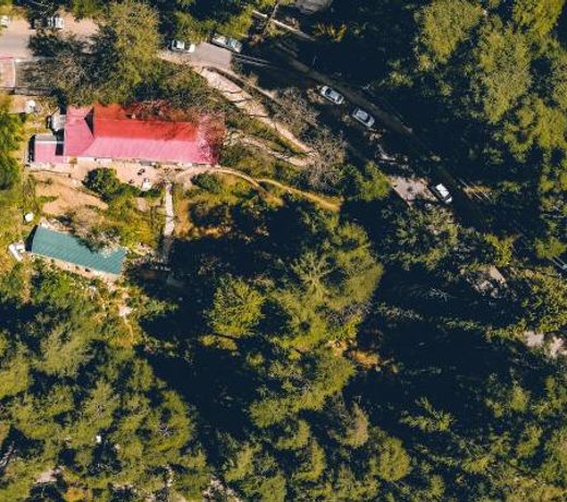 Seclude Shimla, Taraview