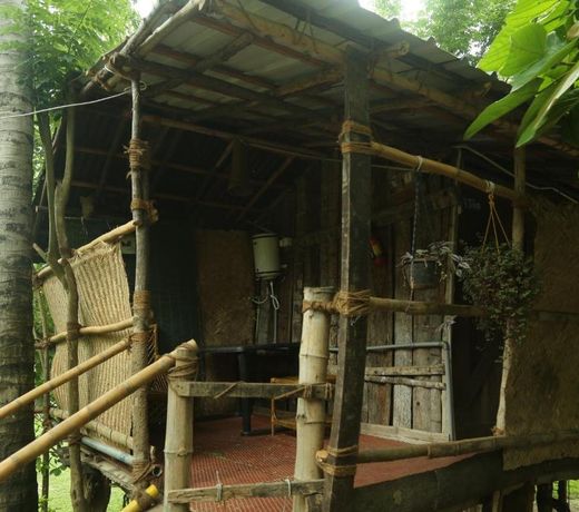 JUNGLE PARADISE FARM & GUEST HOUSE