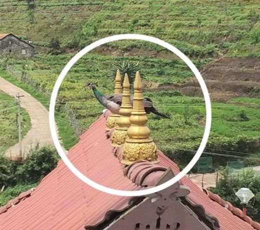 Bogar Palace Kodaikanal