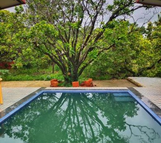 Farmhouse with Pool - Kalavady Farmstay