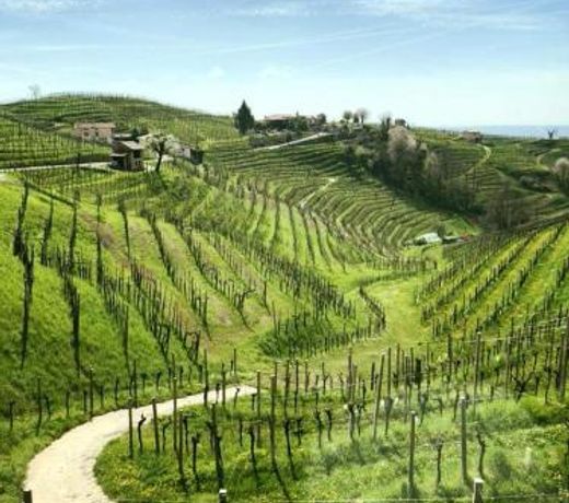 Locazione turistica Gravetta