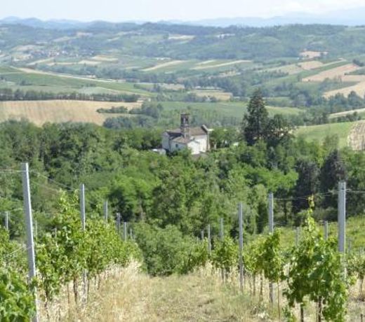 ORIZZONTI Vigneti Repetto