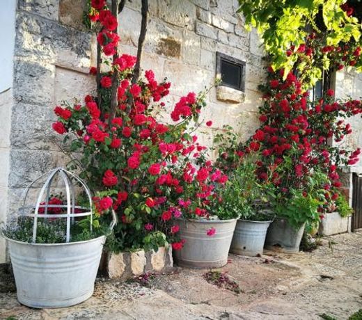 Masseria La Gatta Matta