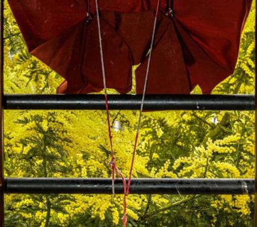 La Locanda degli Artisti