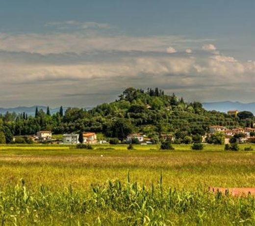 Villa Cerbaie