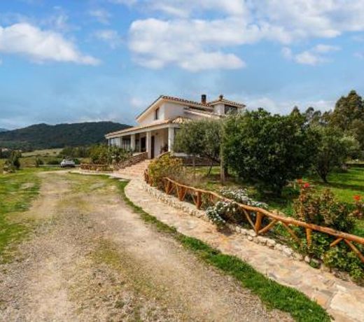 Domus Blanca Max