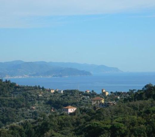Fattorialmare Gialla