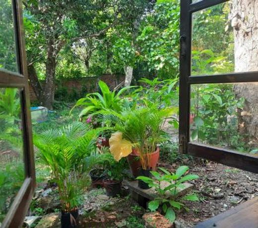 Jungle House Kep