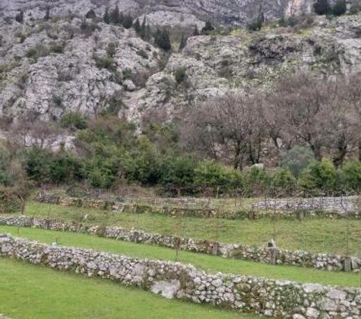 SottoMonte