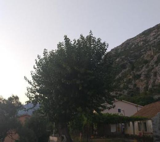 SottoMonte