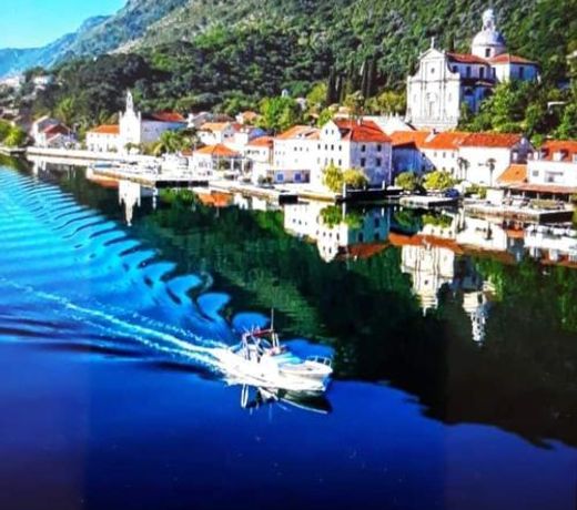 Apartments with sea view in Prcanj