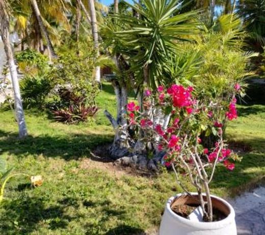 La Diosa Tulum Resort & SPA