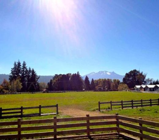 Mountain View - Ohakune Holiday Home
