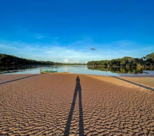 Tronco Tambopata Adventure