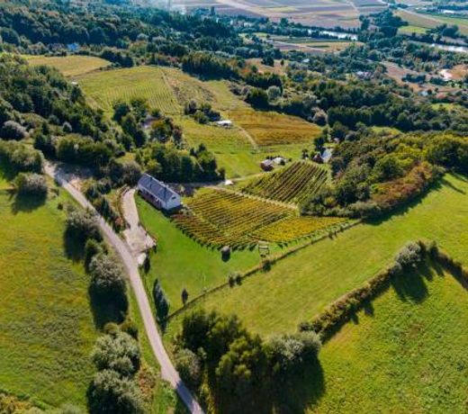 Apartament DÄbrÃ³wka w Winiarni