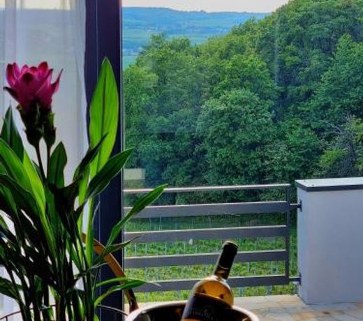 Apartament DÄbrÃ³wka w Winiarni
