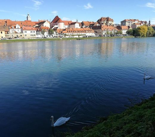 Apartments CityMap Maribor-Free parking!