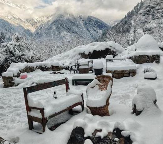 Old Brahma Homestay