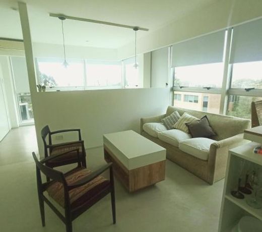 Ombu Loft Olivos, Vista al Rio