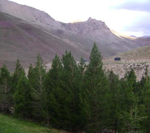 Departamento Valle Las LeÃ±as