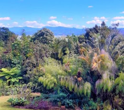 Farrants Hill - Tweed Coast Holidays