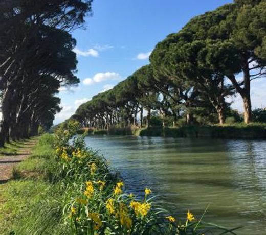 La Passerelle du Canal