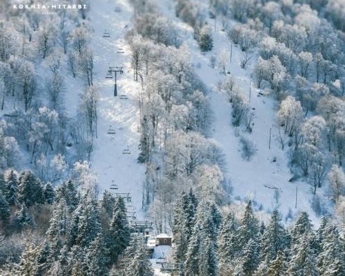 Bakuriani Apartment with Forest Around - Zemo-Avchala - фото 5