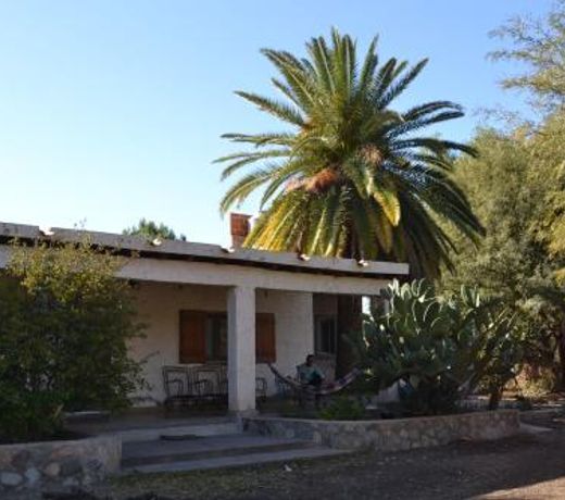 finca el RincÃ³n