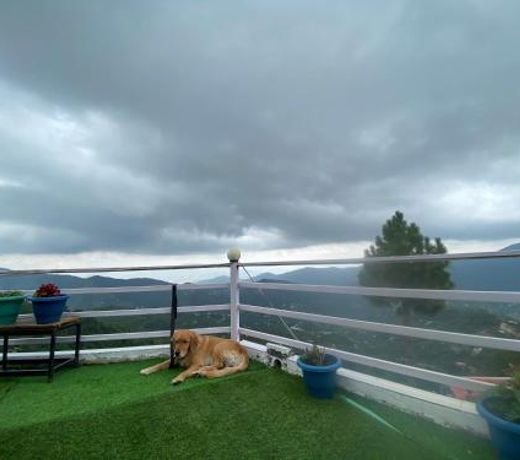 Wincliff Orchard Resort