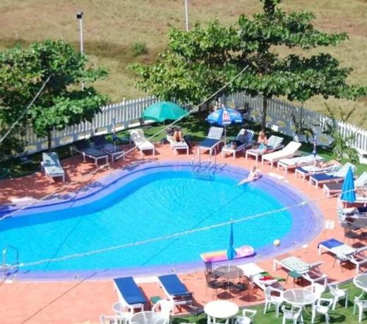 Palmarinha de Goa