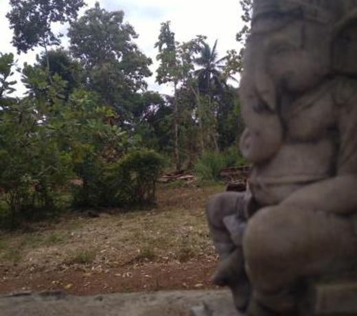 Holiday Home Anuradapura