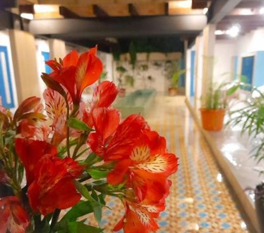 Hotel Pepen