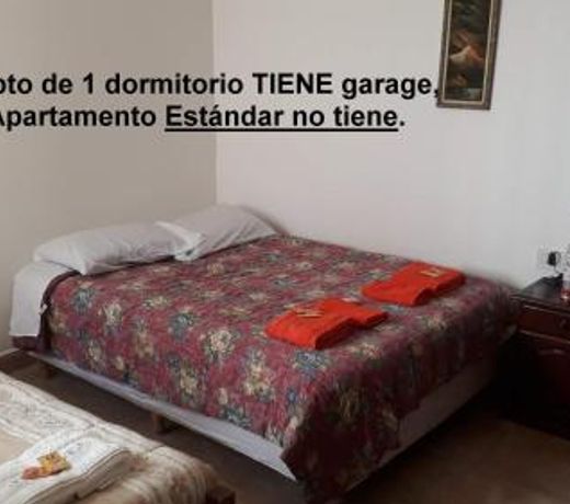 Hermosos departamentos de un dormitorio, sÃ³lo uno con estacionamiento, mediano