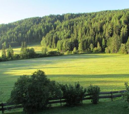 Ferienhaus Priller