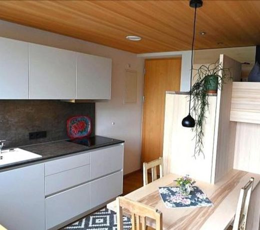 Apartment BergIN