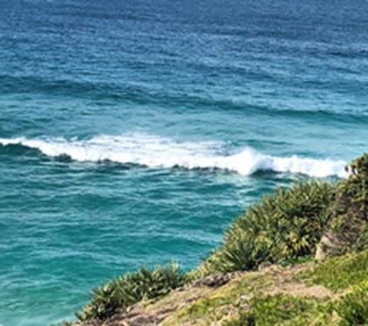 Chel Sea