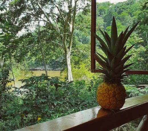 Alma Del Rio Eco-Comfort on the water