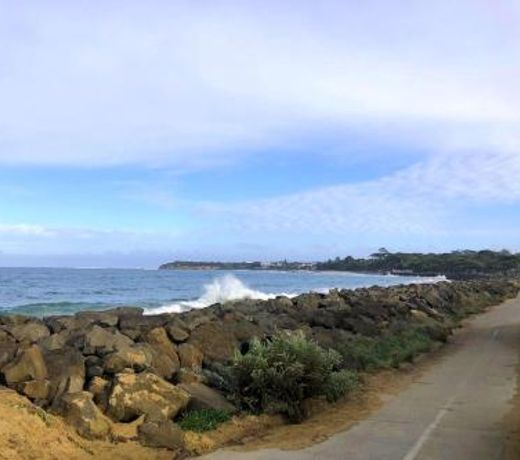 Bay Bright