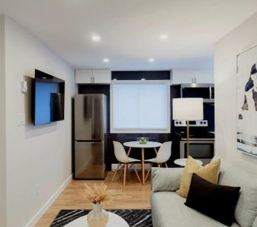 Modern, Luxurious Apartment near Downtown Ottawa
