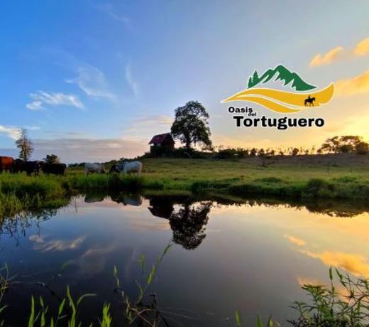Oasis del Tortuguero