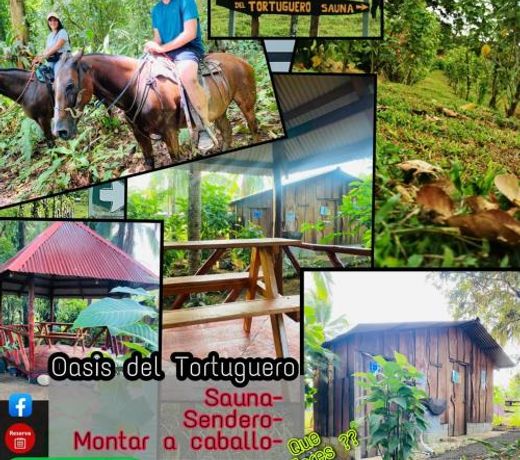 Oasis del Tortuguero