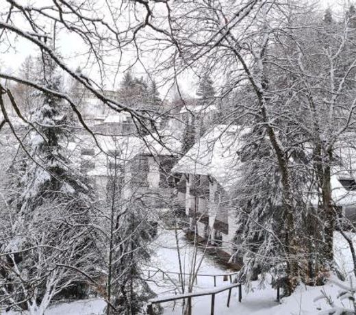 Ferienwohnung in Triberg am Waldrand - idyllisch, ruhig, erholsam