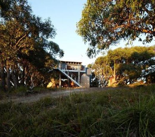 Mandys House