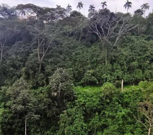 Hermoso, central y natural apartamento en Pereira