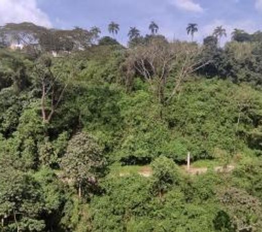 Hermoso, central y natural apartamento en Pereira