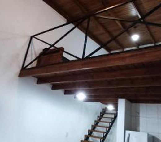Departamentos del Campo Pehuajo, Depto tipo LOFT