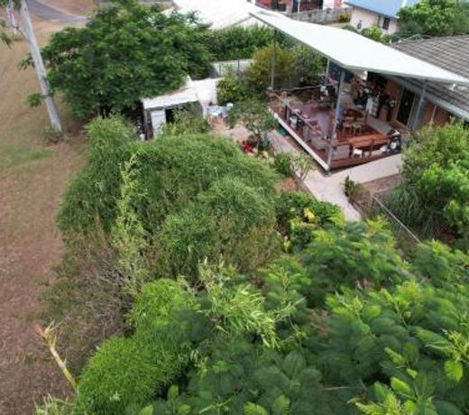Maryborough's Rainforest Retreat