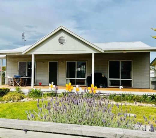 SUMMER DAYSIES - Pet Friendly WiFi