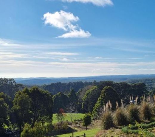 Beech Forest Cottage (Cozy Otways Accommodation)