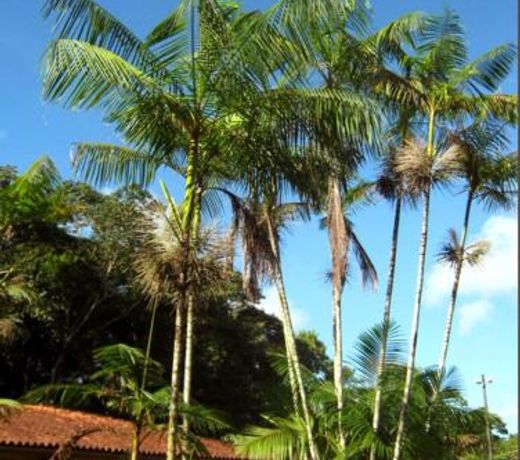 Garden Hotel e Eventos